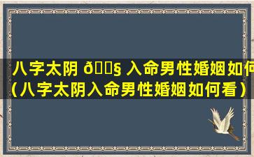 八字太阴 🐧 入命男性婚姻如何（八字太阴入命男性婚姻如何看）